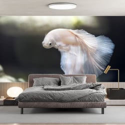 Papier Peint Panoramique Poisson Combattant