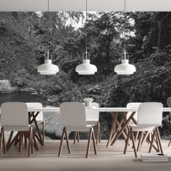 Papier Peint Panoramique Jungle Photo Noir et Blanc