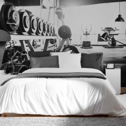 Papier Peint Panoramique Musculation Gym 2