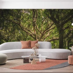 Papier Peint Panoramique Jungle Arbre Majestueux