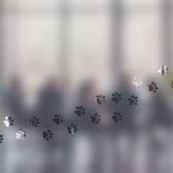 Sticker Pattes Depoli