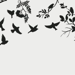 Papier Peint Panoramique Oiseaux