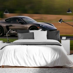 Papier Peint Panoramique Porsche Cayman