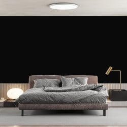 Papier Peint Panoramique Fond Noir