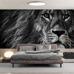 Papier Peint Panoramique Lion Nature