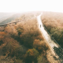 Papier peint Panoramique Route Forêt