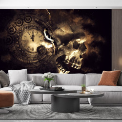 Papier Peint Panoramique Crane Steampunk Skull