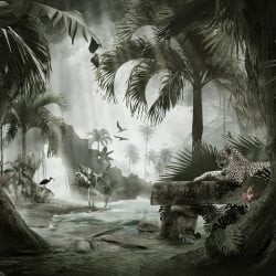 Papier peint Panoramique Paysage Jungle Paysage Papier peint Panoramique Paysage Jungle Paysage