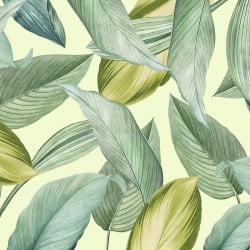 Papier peint Panoramique Feuilles tropicales 2