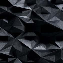 Papier Peint Panoramique Relief Noir 2