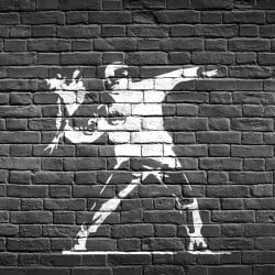 Papier Peint Panoramique Banksy - Rage The Flower Thrower