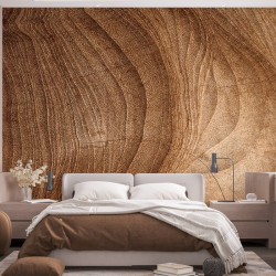 Papier peint Panoramique Texture Bois