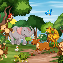 Papier Peint Panoramique Animaux Paysage