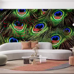 Papier Peint Panoramique Plumes Paon