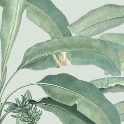 Papier Peint Panoramique Feuilles Tropicales Jungle