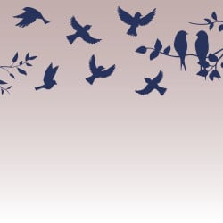 Papier Peint Panoramique Oiseaux 2 Papier Peint Panoramique Oiseaux 2