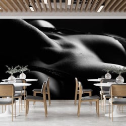 Papier Peint Panoramique Femme Sexy Soutient Gorge