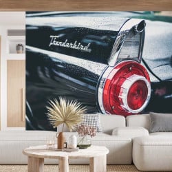 Papier Peint Panoramique Ford Thunderbird
