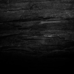 Papier peint Panoramique Bois Noir