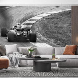 Papier Peint Panoramique Vintage Formula