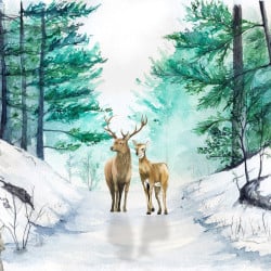 Papier Peint Panoramique Animaux Forêt 2