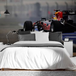 Papier Peint Panoramique F1 Racing