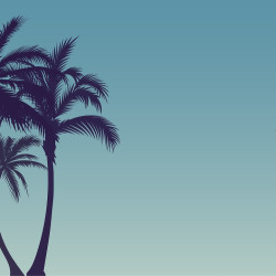 Papier Peint Panoramique Palmier Ombre