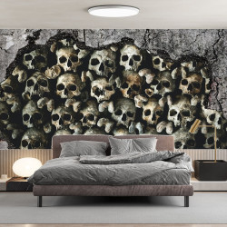 Papier Peint Panoramique Mur de Cranes