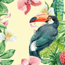 Papier peint Panoramique Tropical Toucan Papier peint Panoramique Tropical Toucan