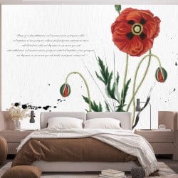 Papier Peint Panoramique Fleurs Coquelicots