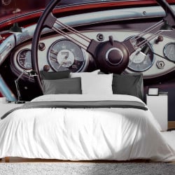 Papier Peint Panoramique Vintage Volant 2