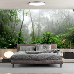 Papier Peint Panoramique Jungle Profondeur Lianes