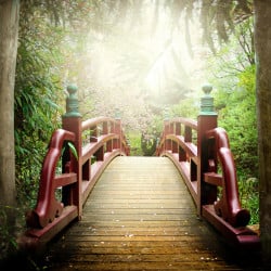 Papier Peint Panoramique Jardin Japonais