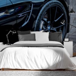 Papier Peint Panoramique BMW Jante