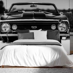 Papier Peint Panoramique Chevelle SS