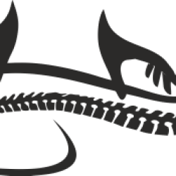 Sticker Kinésithérapeute Masseur Osteopathe 5