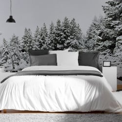 Papier Peint Panoramique Foret Enneigée