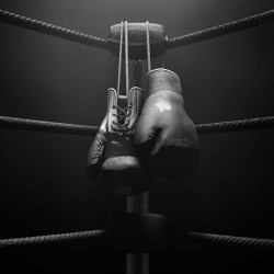 Papier Peint Panoramique Boxe Gants Vintage