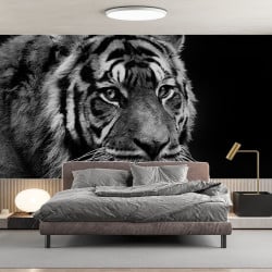 Papier Peint Panoramique Tigre