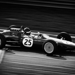 Papier Peint Panoramique Vintage Lotus