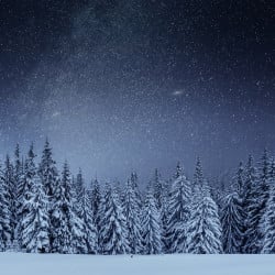 Papier Peint Panoramique Forêt Nuit Étoilée Papier Peint Panoramique Forêt Nuit Étoilée