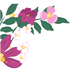 Sticker Fleurs Coin Vitrine 2