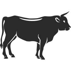 Sticker Ferme Vache 4