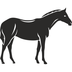 Sticker Ferme Cheval
