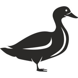 Sticker Ferme Canard