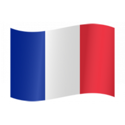 Autocollant Drapeau français 2