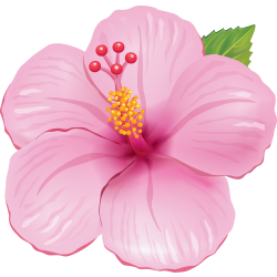 Autocollants Fleur Tropical 3