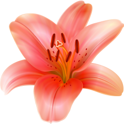 Autocollants Fleur Tropical 6