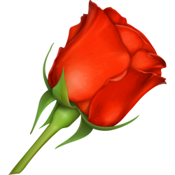 Autocollants Fleur Rose Rouge