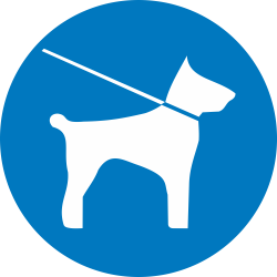 Autocollant Obligation Chien En Laisse